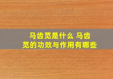 马齿苋是什么 马齿苋的功效与作用有哪些